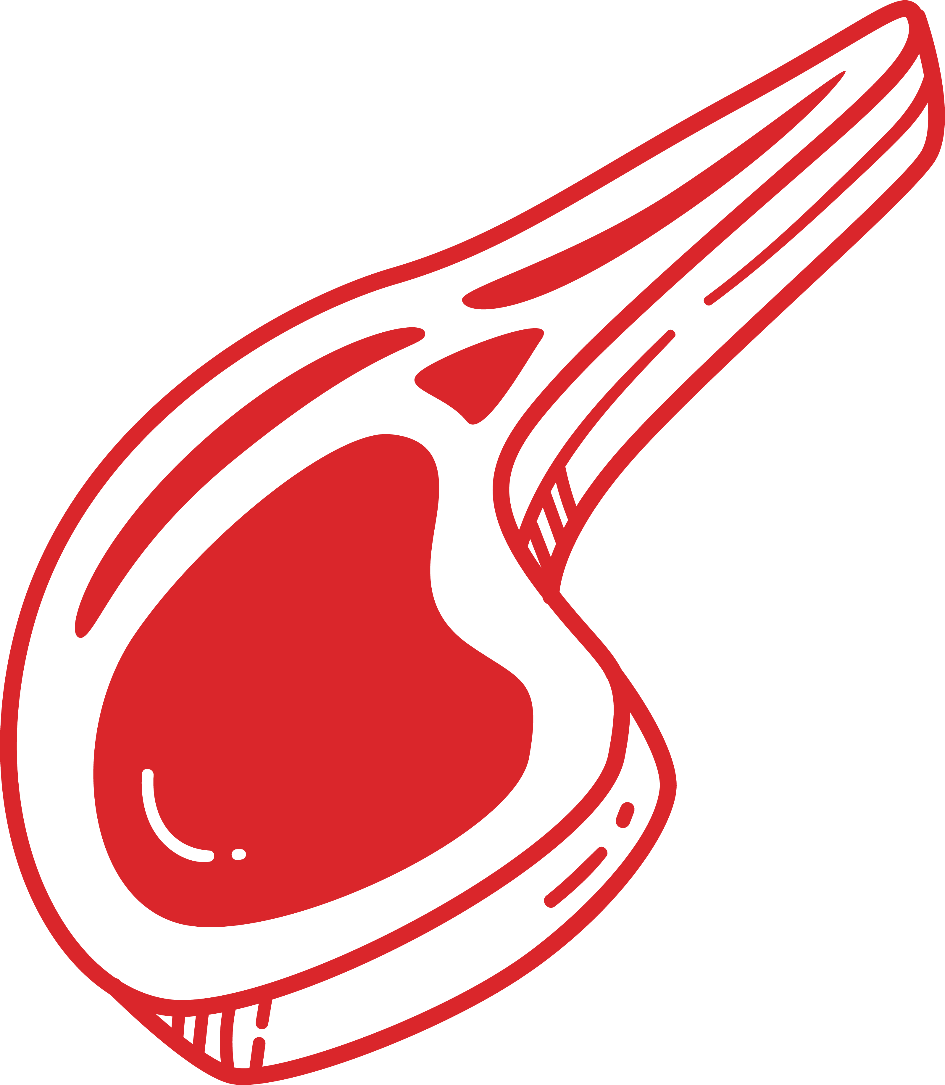 Solomillo de ternera